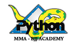 Python Akademi