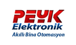 Peyk Elektronik